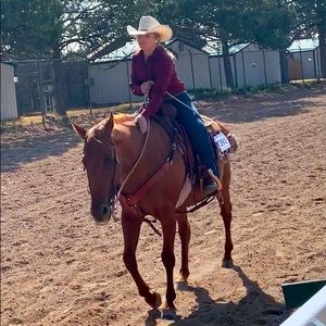 Meet your Posher, Rhegan